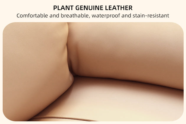 Executive Comfort Classic