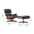 Eames Lounge Chair and Ottoman