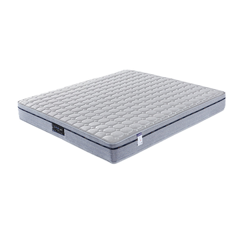 Gray Tencel/Independent Spring/Latex Mattress/153