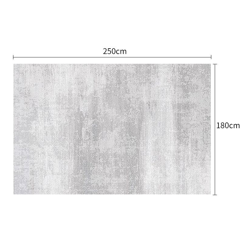 Pre Sale Grey Minimalist Living Room Rug