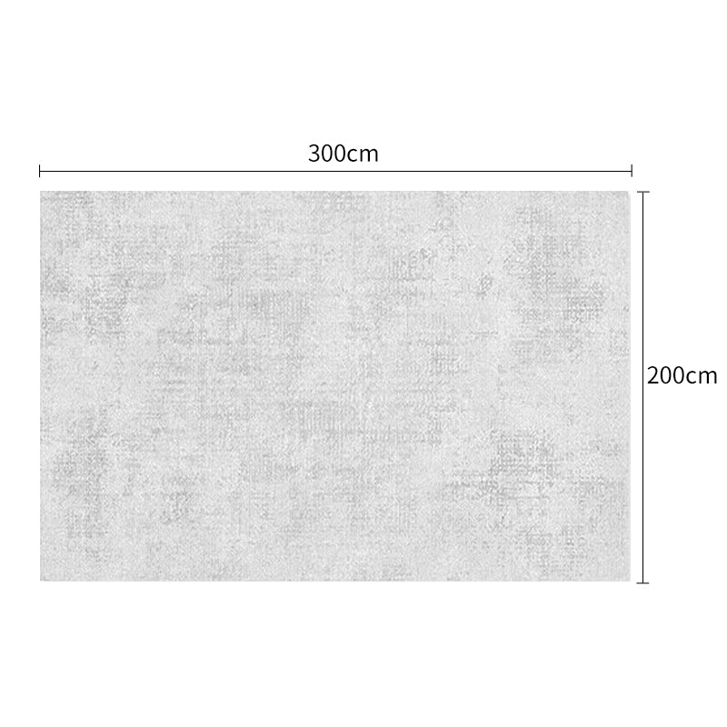 Pre Sale Grey Minimalist Living Room Rug