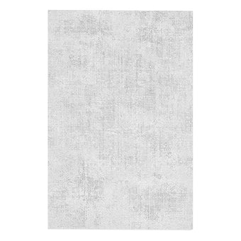 Pre Sale Grey Minimalist Living Room Rug
