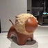 Creative/Lion/Animal/Stool