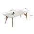 Shiny Snowy Mountain White Rock Bird Dining Table