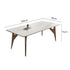 Shiny Snowy Mountain White Rock Bird Dining Table